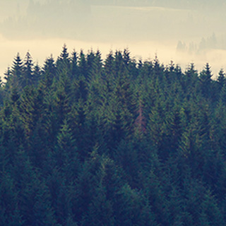 网络ddos监测分析工具